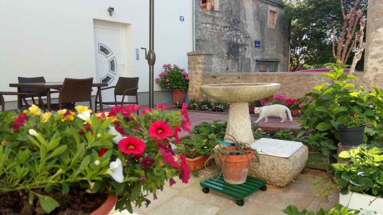 Apartmani Filip Zadar Diklo Bagian luar foto