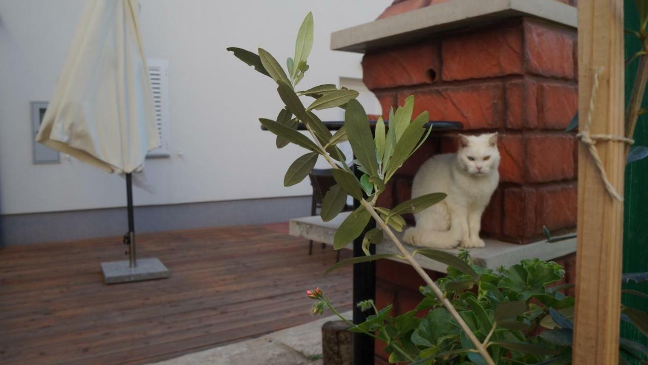 Apartmani Filip Zadar Diklo Bagian luar foto